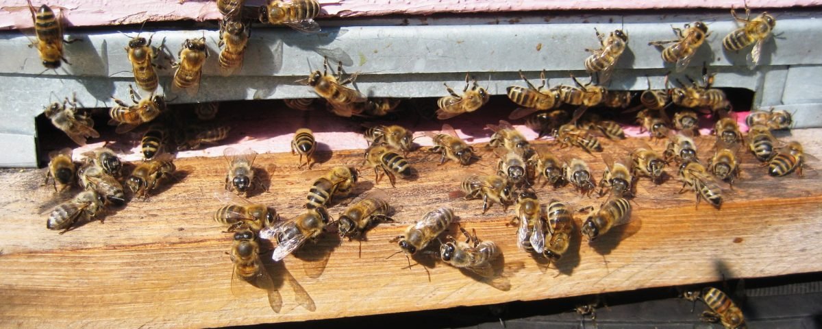 2_1200x480.jpg